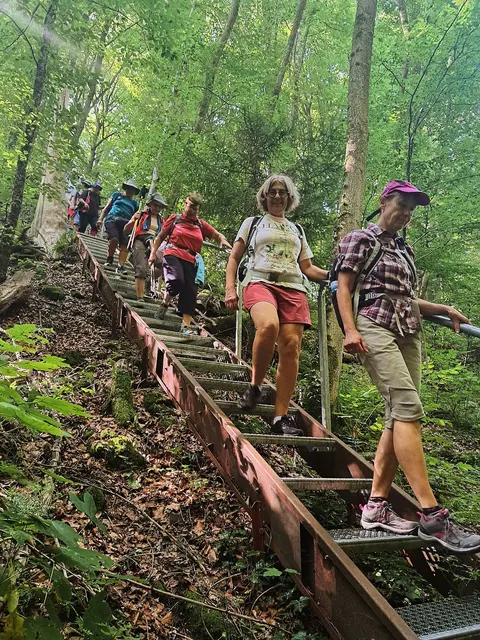 Steile Treppe auf dem Limeswanderweg "HW6". | Foto: Isolde Reitz