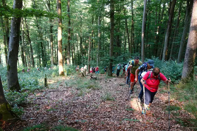 Gewaltiger Anstieg vom Brettachtal auf die Höhe von Gailsbach. | Foto: Isolde Reitz