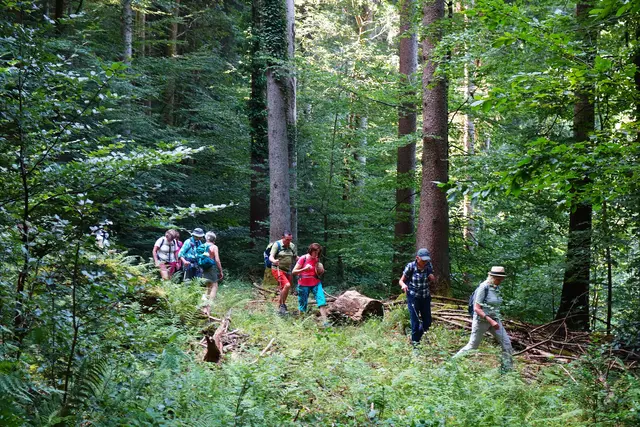 Kein Wanderweg mehr sichtbar - nun geht das Suchen los! | Foto: Isolde Reitz