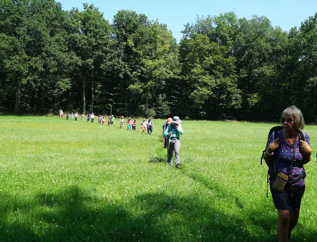 Im Gänsemarsch geht es weiter. | Foto: Isolde Reitz