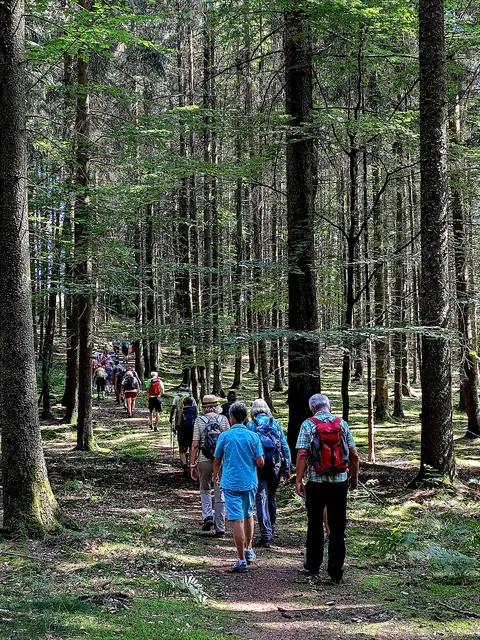 Grenzweg am ehemaligen Limes. | Foto: Isolde Reitz