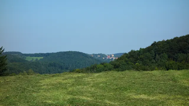 Von Weitem ist die Burg Maienfels zu erkennen. | Foto: Isolde Reitz