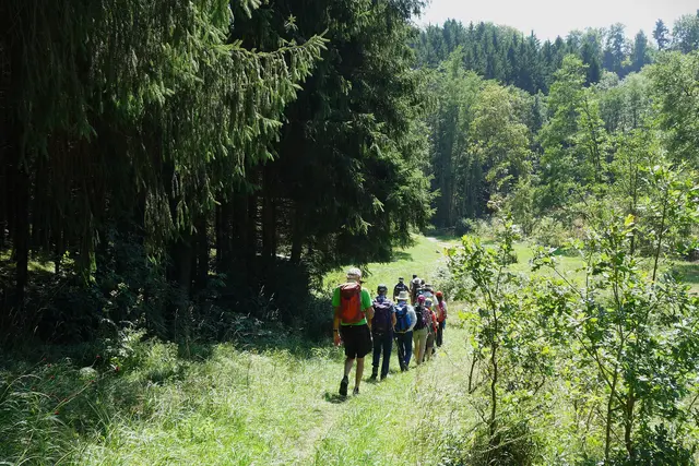 Es geht abwärts ins Brettachtal. | Foto: Isolde Reitz