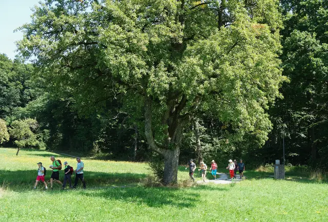 Es geht Richtung Ziegelbronn. | Foto: Isolde Reitz