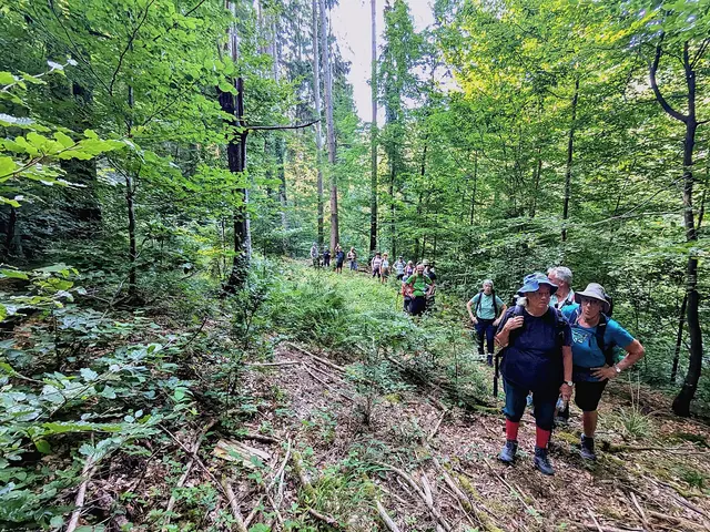 Bei der Hitze sind alle froh das die Tour viel im schattigen Wald verläuft. | Foto: Isolde Reitz