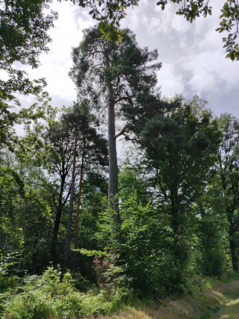 Foto: Christina Hansel