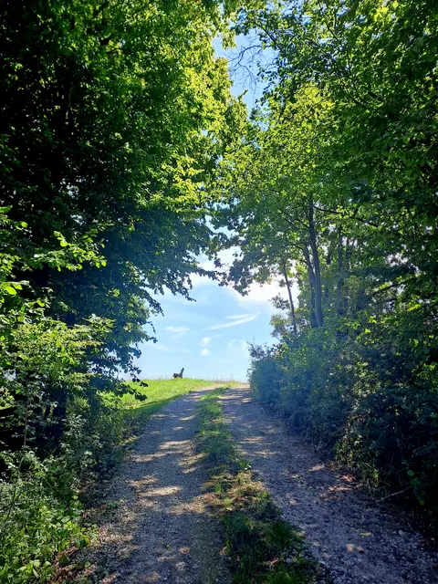 Erste Kilometer hinter Blaufelden | Foto: Andreas Odey