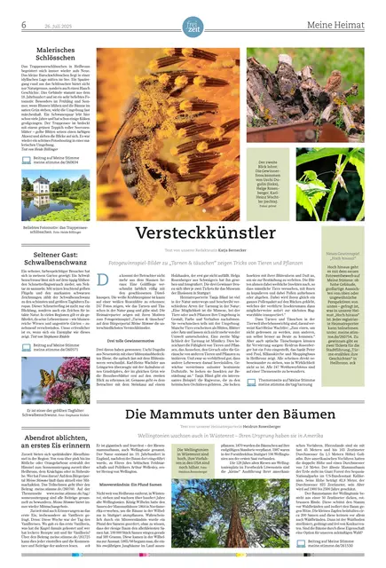 Die Meine Heimat-Seite erscheint einmal im Monat und bildet ab, was die Heimatreporter in den vergangenen Wochen auf meine.stimme Interessantes eingestellt haben.  | Foto: HSt, Uschi Dugulin, Helga Rosenberger Karl-Heinz Wachtler, Heidrun Rosenberger, Heide Böllinger, Stephanie Rüdele