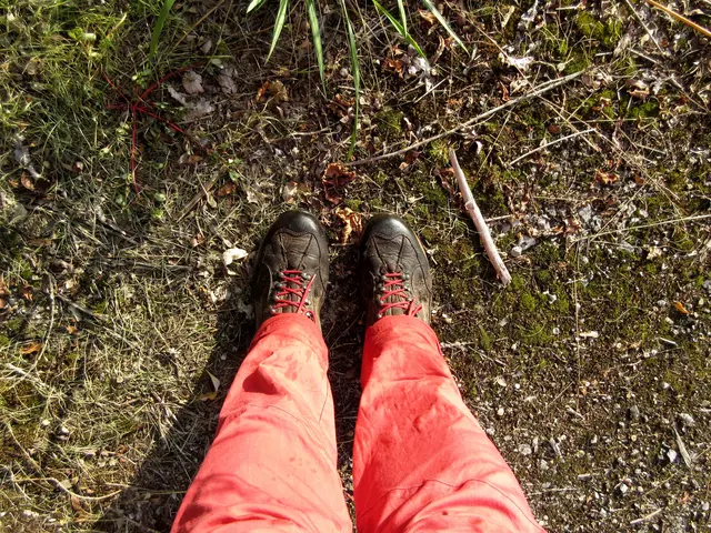 Die Wiesen sind noch nass | Foto: WandernGabyErich