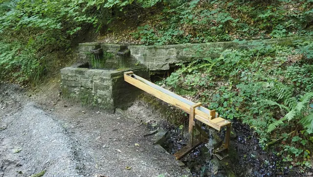 Ein Brünnele im Wald bietet Erfrischung an.  | Foto: Rainer Göser 