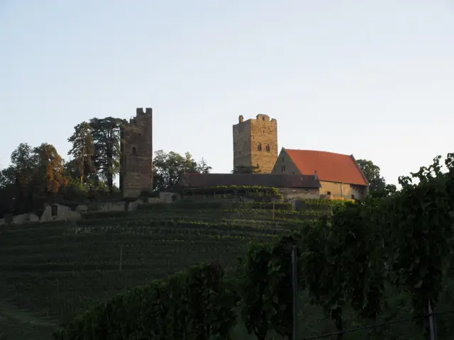 Burg in Sicht | Foto: WandernGabyErich