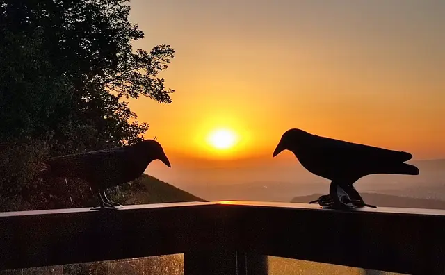 Sonnenaufgang, die Gruppe ist schon gestartet | Foto: Aurelia Kling