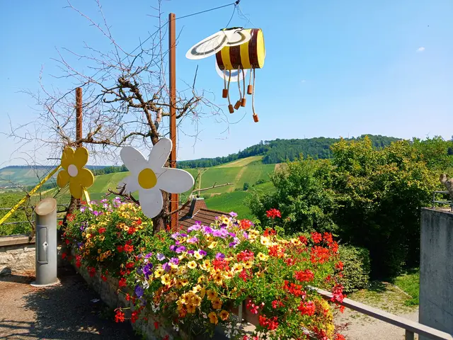 Noch ein letzter Blick auf den schön geschmückten Aussichtsplatz - die Wanderung ist nach 9 km zu Ende.   | Foto: sigischlottke 