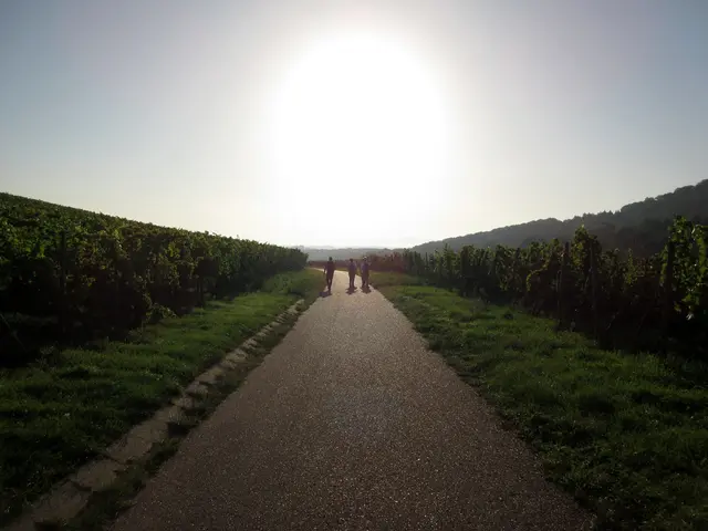 Jetzt ist sie da, und es ist erst 8:00 Uhr | Foto: WandernGabyErich