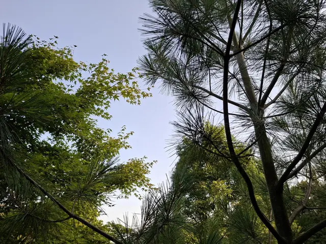 Rund ums Haus | Foto: Ralf Röser