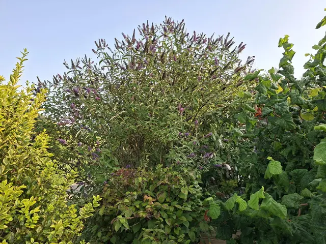 Rund ums Haus | Foto: Ralf Röser