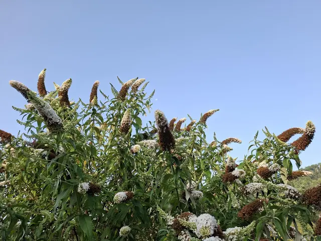 Rund ums Haus | Foto: Ralf Röser