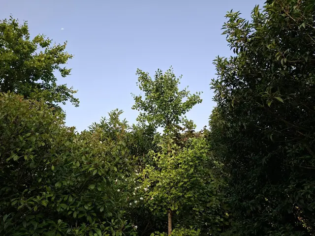 Rund ums Haus | Foto: Ralf Röser