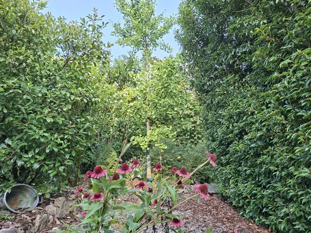 Rund ums Haus | Foto: Ralf Röser