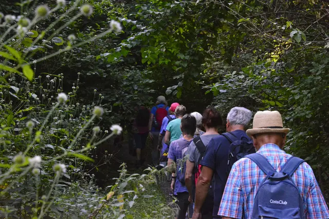 Wanderfüher Uwe Bierschenk führt die Gruppe in dichten Wald. | Foto: Michael Harmsen