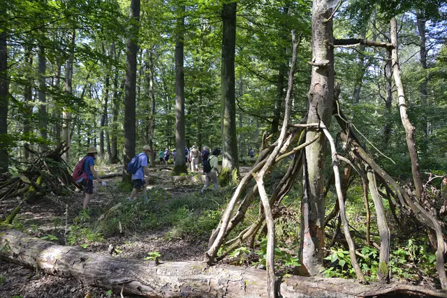 Wanderschlange im Wald. | Foto: Michael Harmsen