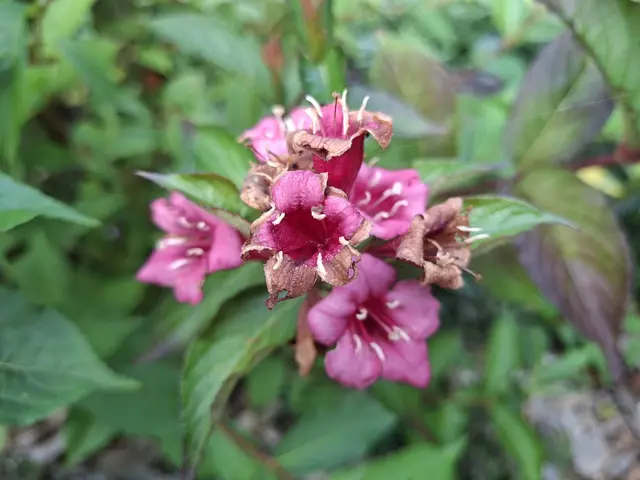 Rund ums Haus | Foto: Ralf Röser