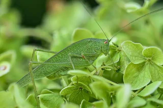 Foto: Eigenes Foto von GT