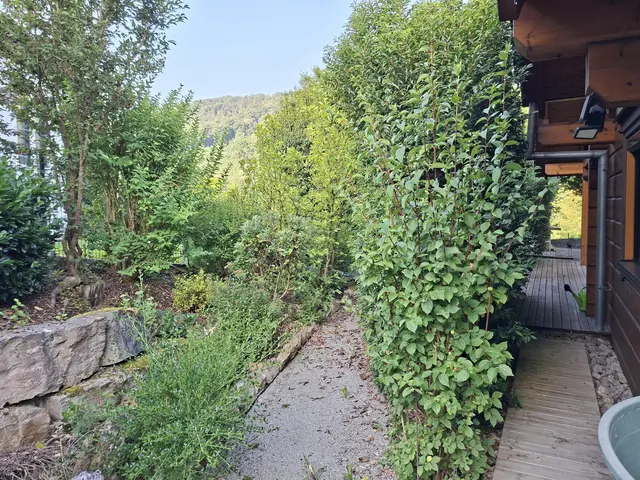 Rund ums Haus | Foto: Ralf Röser