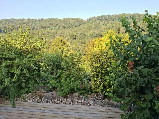 Rund ums Haus | Foto: Ralf Röser