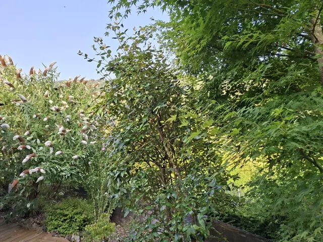 Rund ums Haus | Foto: Ralf Röser