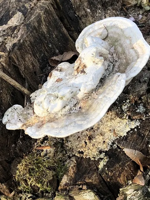 Foto: Urheber aller Fotos ist Eva Strümpfler