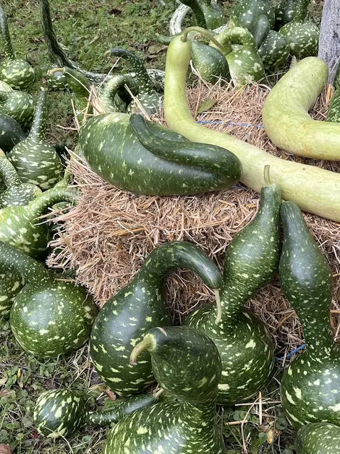 Foto: Urheber aller Fotos ist Eva Strümpfler