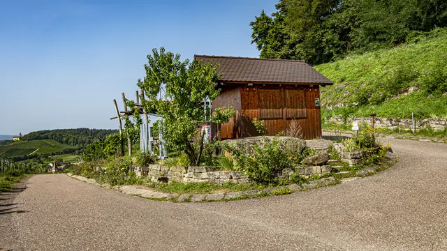 Links Schloss Stocksberg, darunter Haberschlacht | Foto: ehw