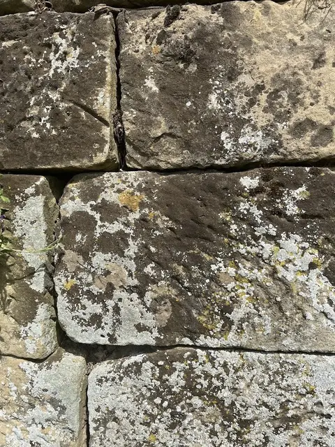 Foto: Urheber aller Fotos ist Eva Strümpfler