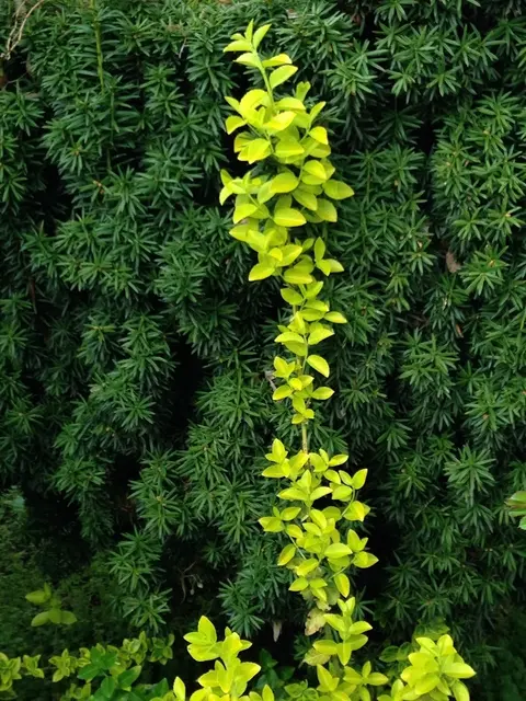 Foto: Urheber aller Fotos ist Eva Strümpfler