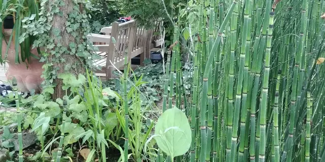 Foto: Urheber aller Fotos ist Eva Strümpfler