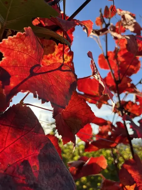 Foto: Urheber aller Fotos ist Eva Strümpfler