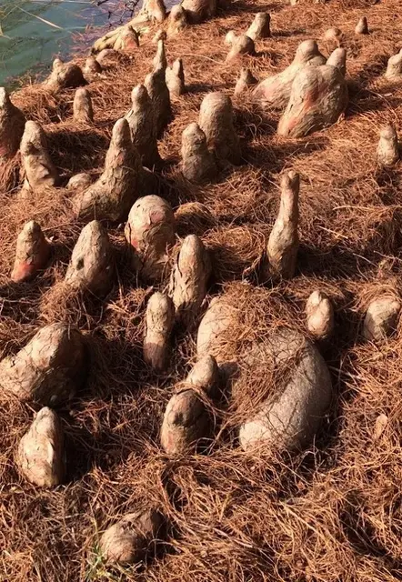 Foto: Urheber aller Fotos ist Eva Strümpfler