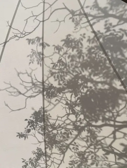 Foto: Urheber aller Fotos ist Eva Strümpfler