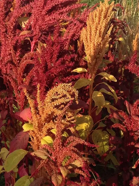 Foto: Urheber aller Fotos ist Eva Strümpfler