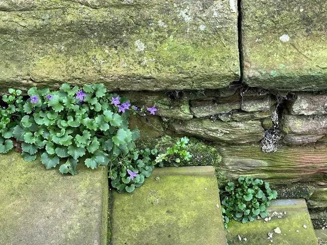 Foto: Urheber aller Fotos ist Eva Strümpfler