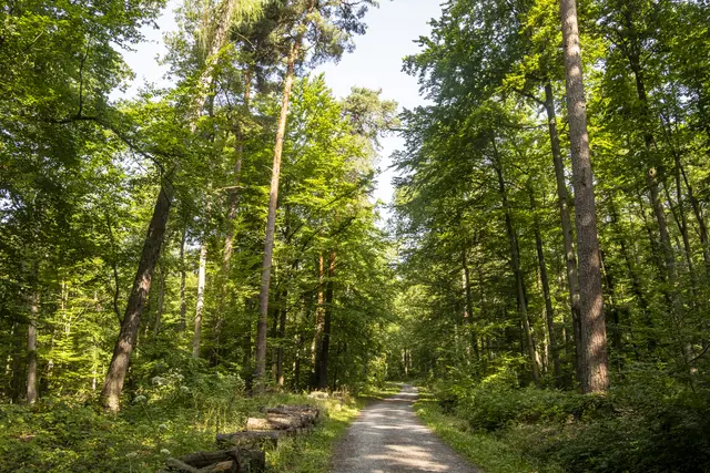 Foto: ehw