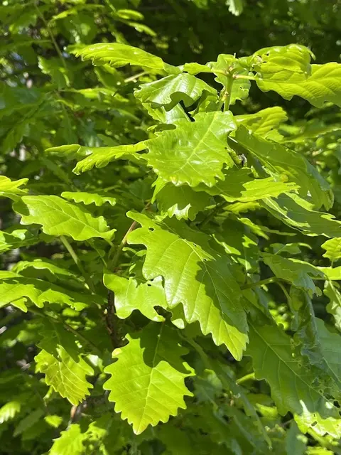 Foto: Urheber aller Fotos ist Eva Strümpfler