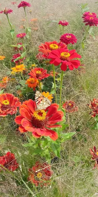 Foto: Urheber aller Fotos ist Eva Strümpfler