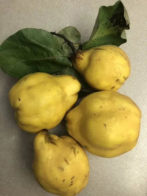 Foto: Urheber aller Fotos ist Eva Strümpfler