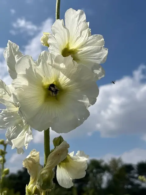 Foto: Urheber aller Fotos ist Eva Strümpfler