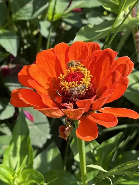 Foto: Urheber aller Fotos ist Eva Strümpfler