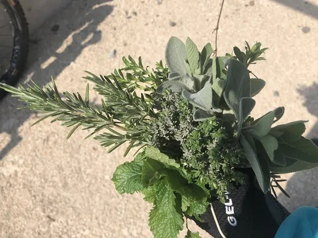 Foto: Urheber aller Fotos ist Eva Strümpfler