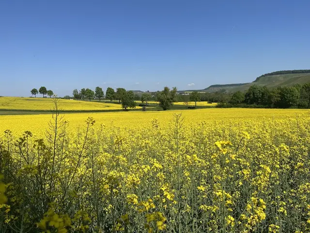 Foto: Urheber aller Fotos ist Eva Strümpfler