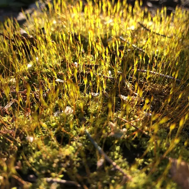 Foto: Urheber aller Fotos ist Eva Strümpfler